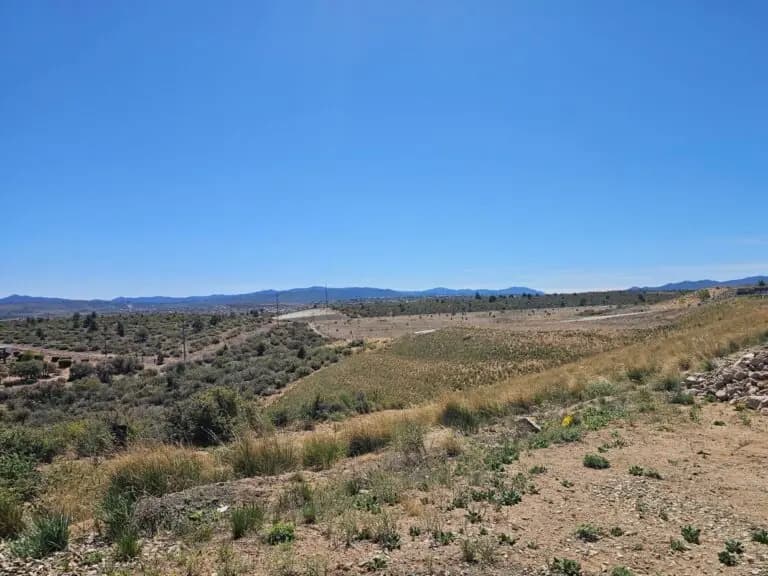 5623 Meridian Ct Homesite 105